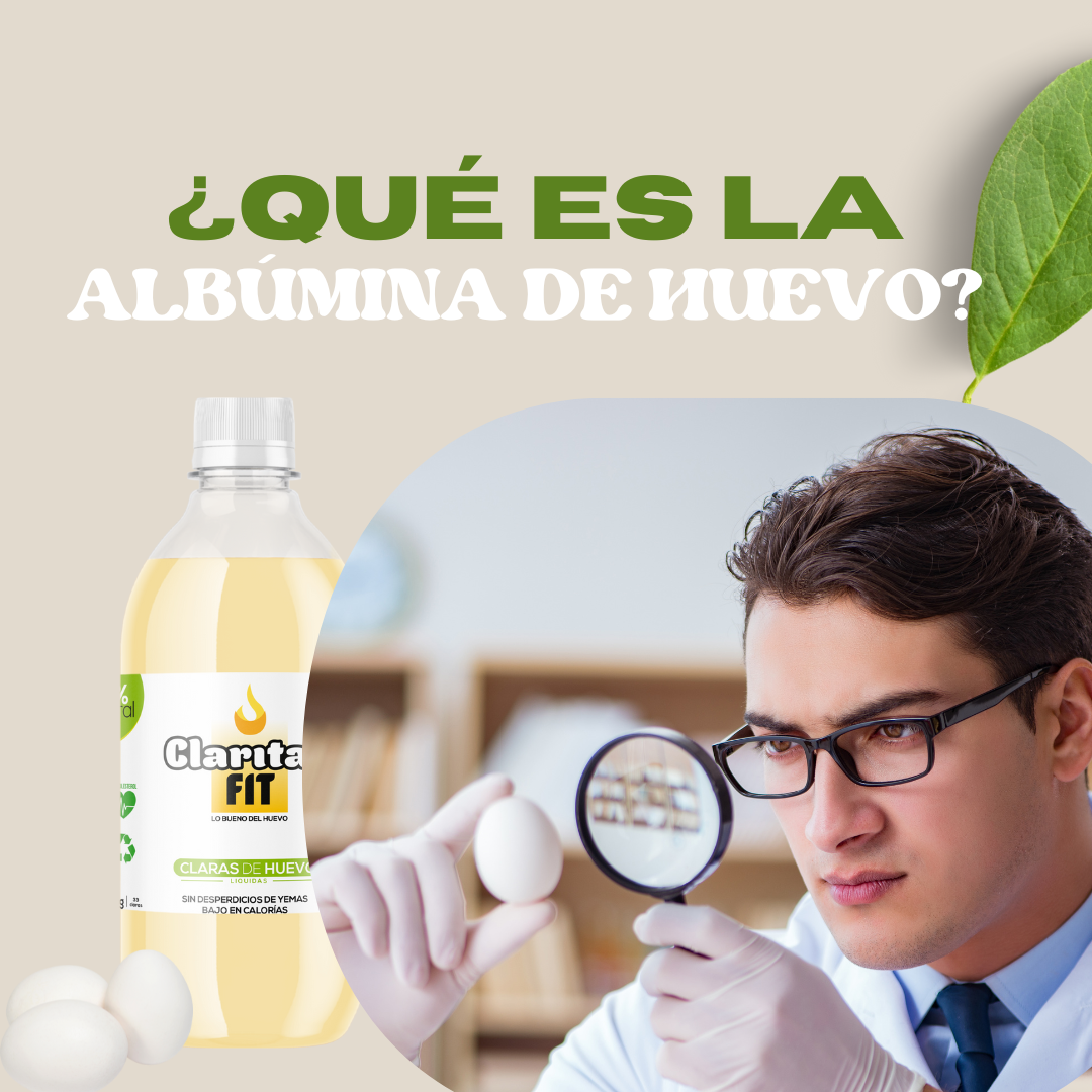 ¿Qué es la Albúmina de Huevo?